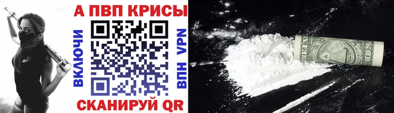 Alfa_PVP СК КРИС  Псков 